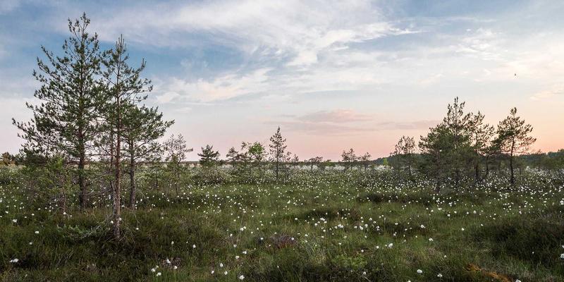 中国华海通如何通过多式联运优化国际物流成本：降本增效的实战策略