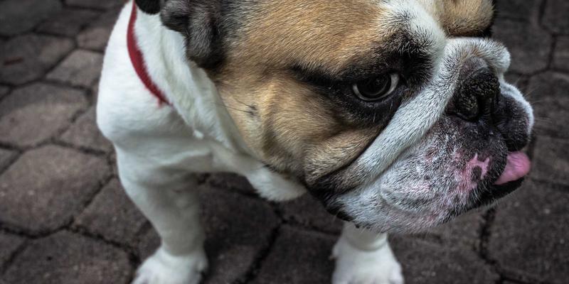 中欧班列运营现状与核心优势解析：华海通如何赋能国际物流与贸易