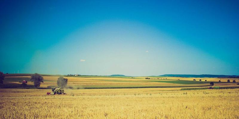 特种集装箱（开顶箱、框架箱）应用全解析：华海通物流专家分享操作要点与场景选择