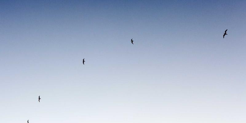 破局贸易摩擦：华海通贸易合规咨询与物流替代方案，助您跨越关税壁垒