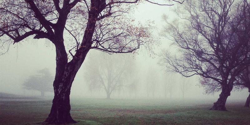 绿色物流新实践：华海通在低碳航运与可持续供应链领域的探索与布局