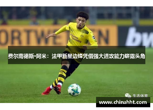 费尔南德斯·阿米：法甲新星边锋凭借强大进攻能力崭露头角