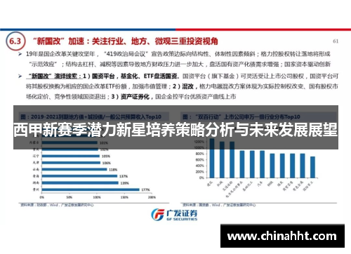 西甲新赛季潜力新星培养策略分析与未来发展展望